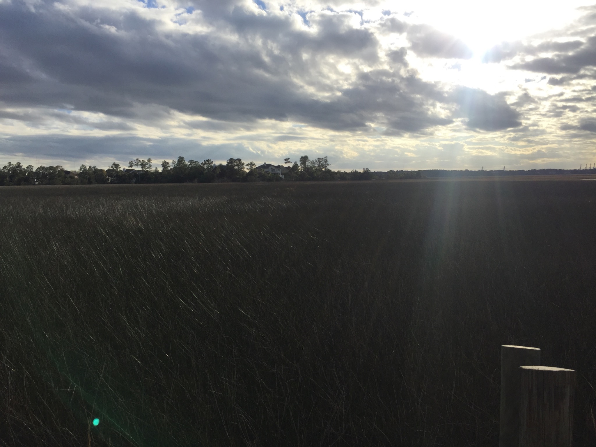 Charleston marsh photo from 2016